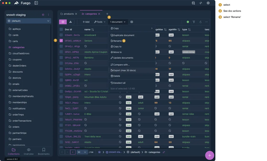 Rename Document — Fuego screenshot