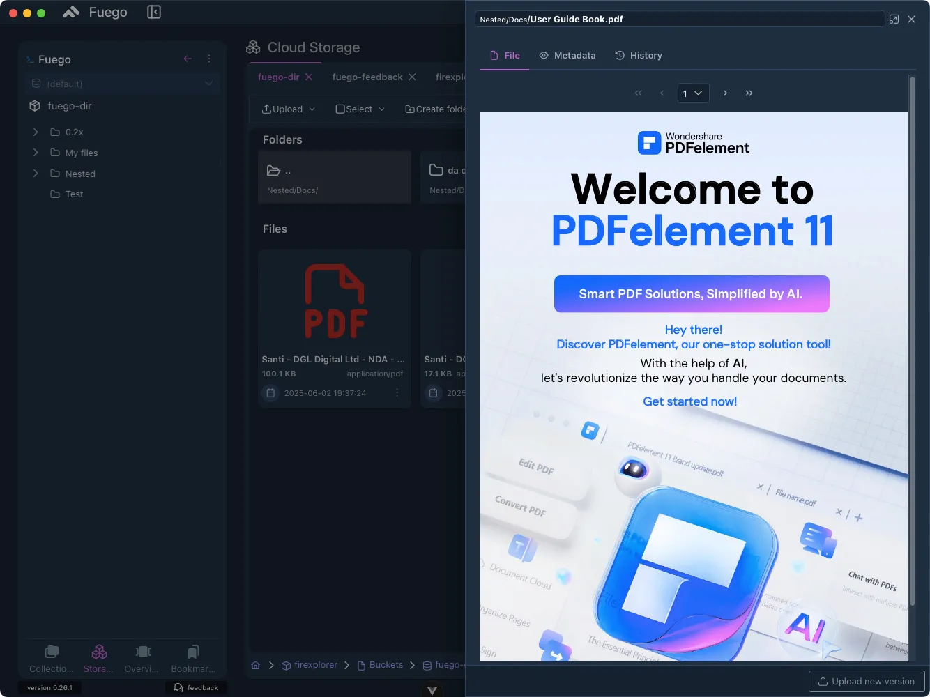 PDF Preview
